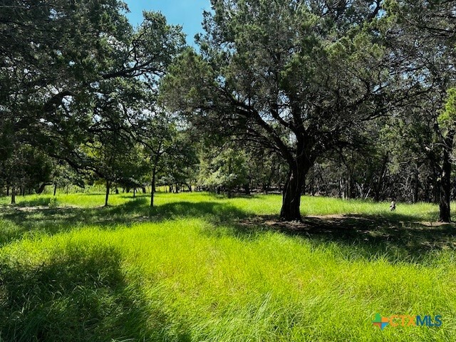 Property Photo:  Tbd Fuller Lane  TX 76548 