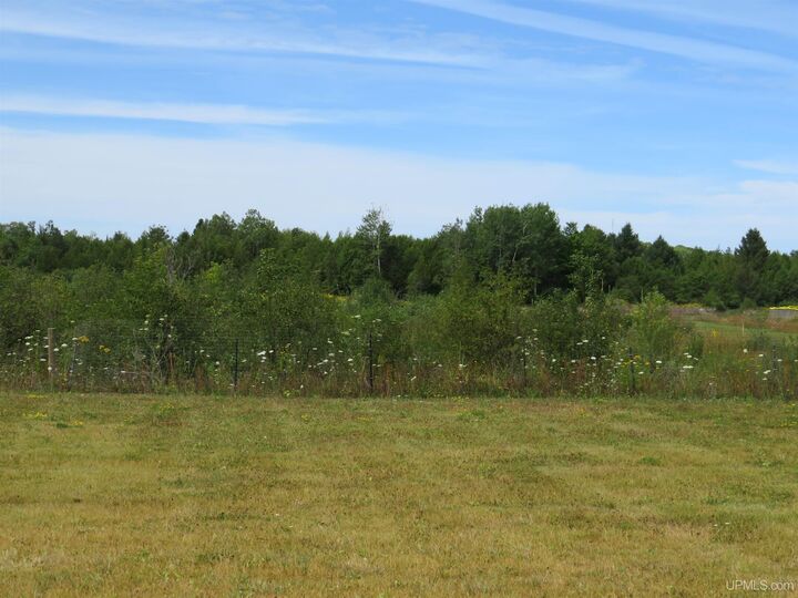 Property Photo:  47663 Main Street  MI 49931 