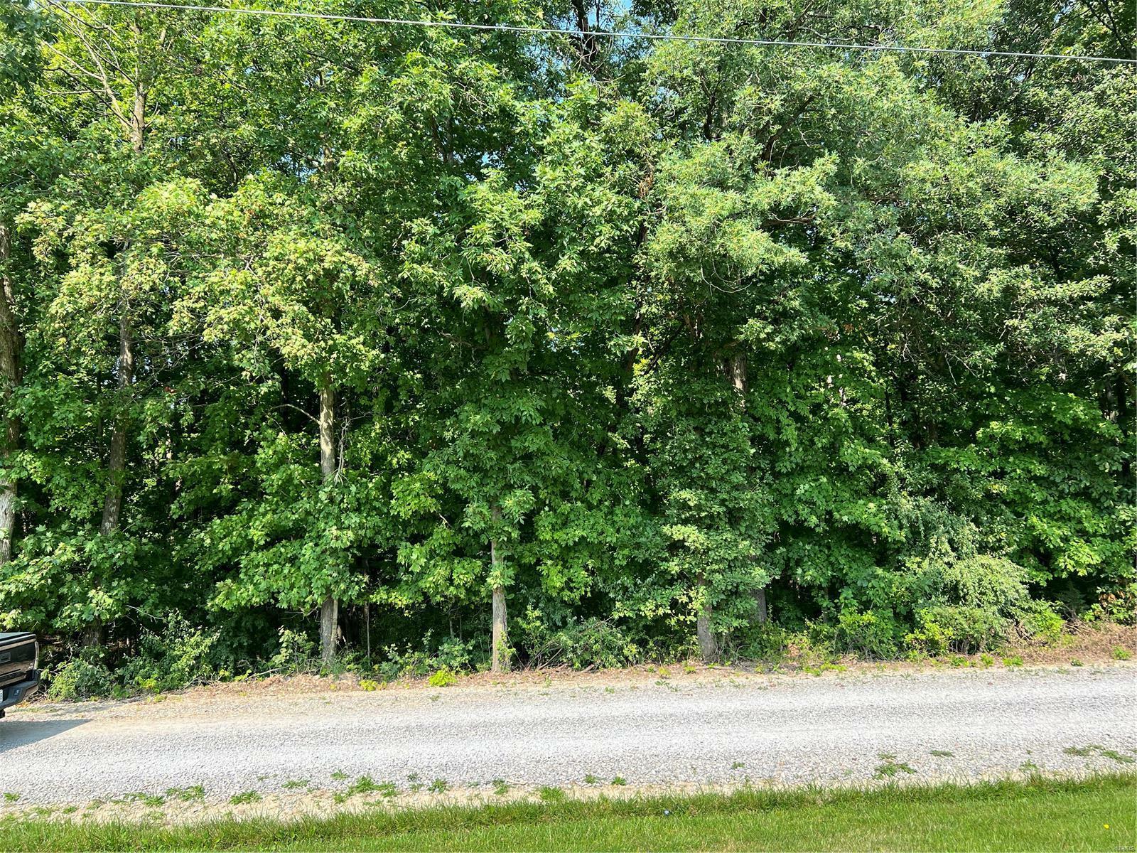 Property Photo:  16741 Pawnee Drive  MO 63459 