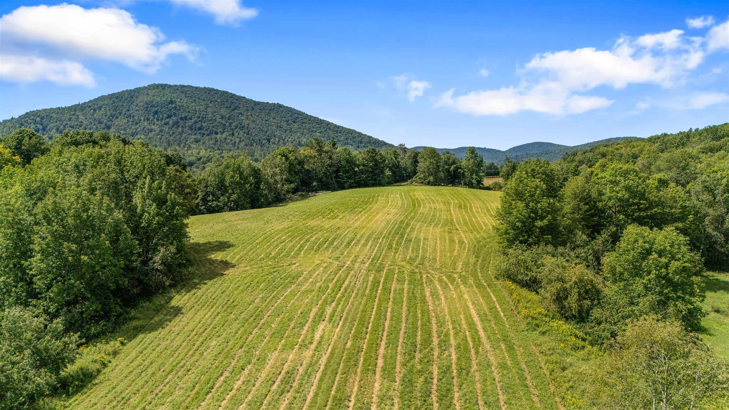 Property Photo:  1500 Dugway Road  VT 05477 