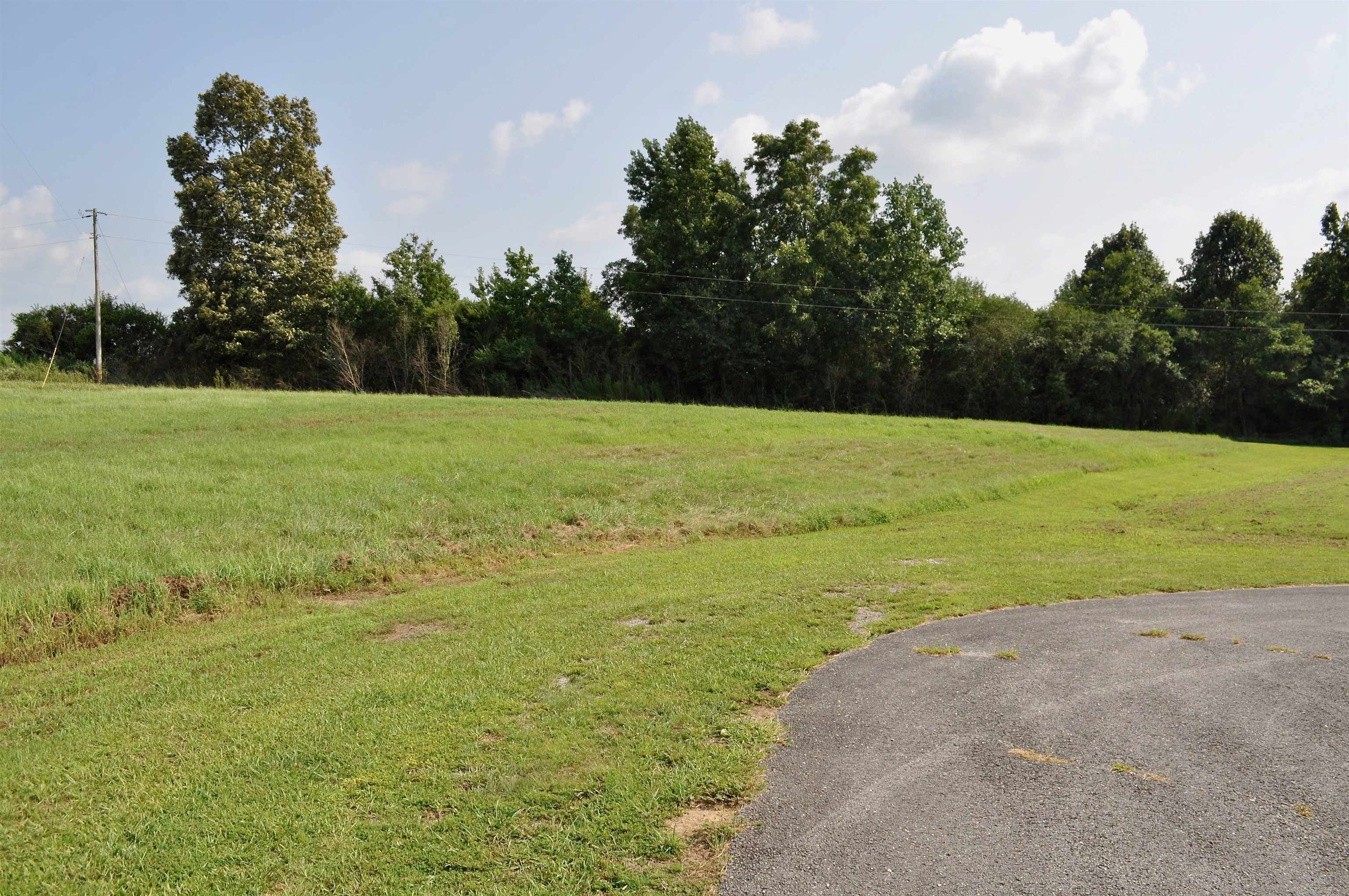 Property Photo:  Lot 13 Tiffani Dr  AL 35058 - CULLMAN 