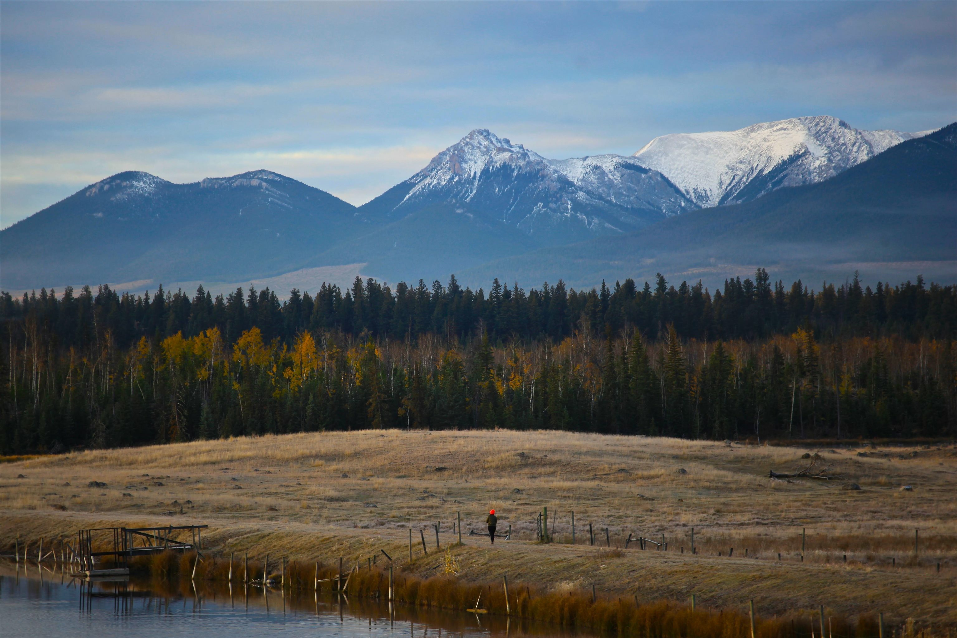 Photo de la propriété:  3460 Meadow Lake Road  BC V0K 1K0 