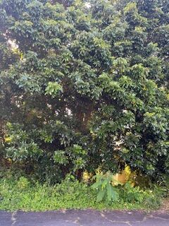 Property Photo:  48-5180 Honokaa  Waipio Rd  HI 96727 