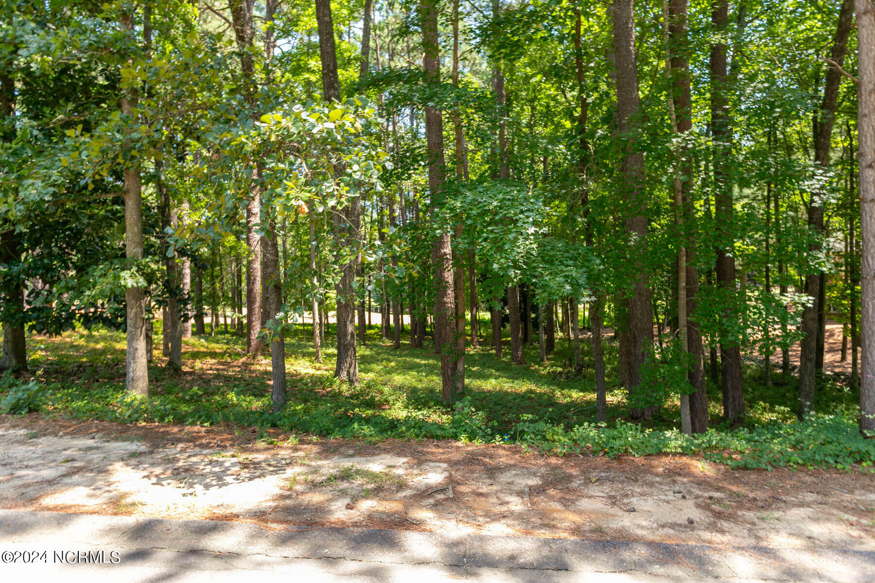 Property Photo:  14 Pomeroy Drive  NC 28374 