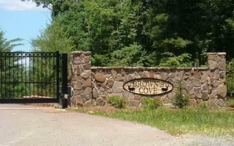 Lot 4 Browns Cove Road  Blue Ridge GA 30513 photo