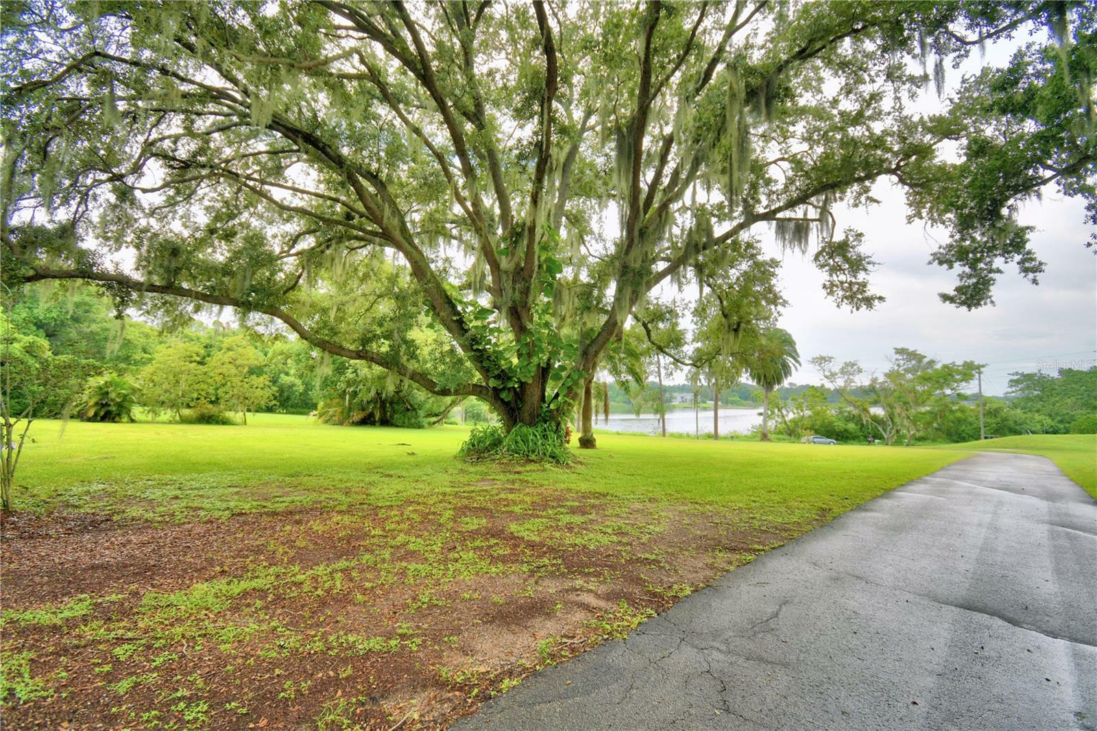 Property Photo:  1280 Buckeye Road NE  FL 33881 