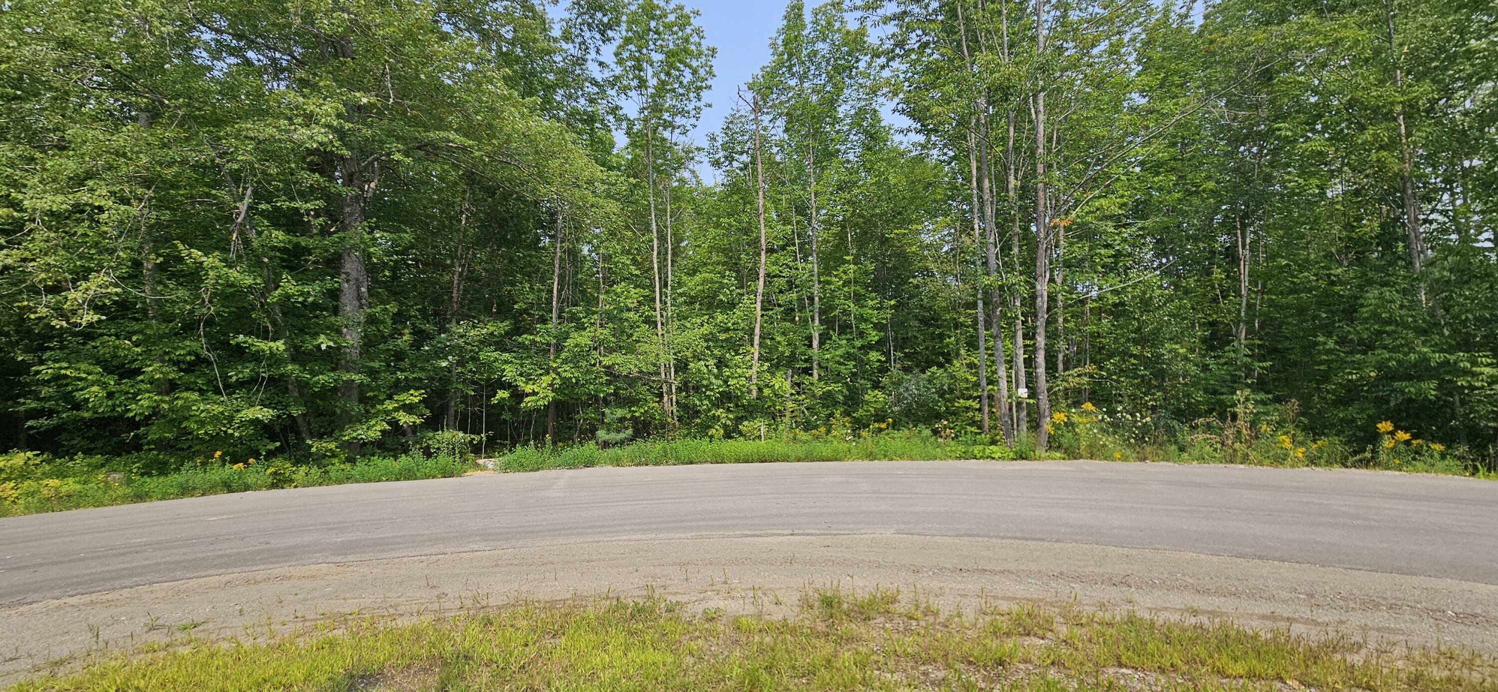 Property Photo:  115 Beaver Creek Road  ME 04419 