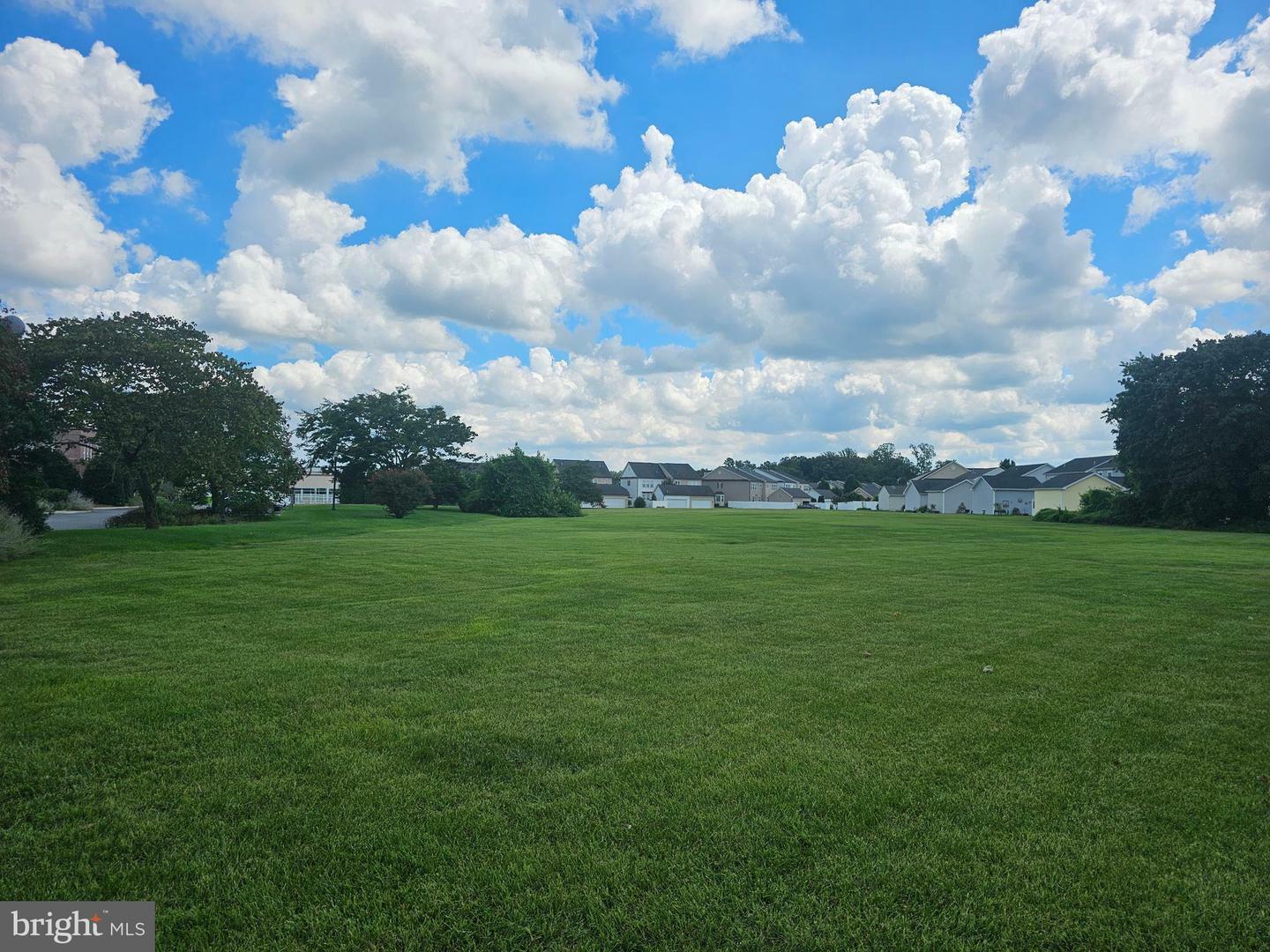 Property Photo:  616 Chestnut Street  DE 19968 