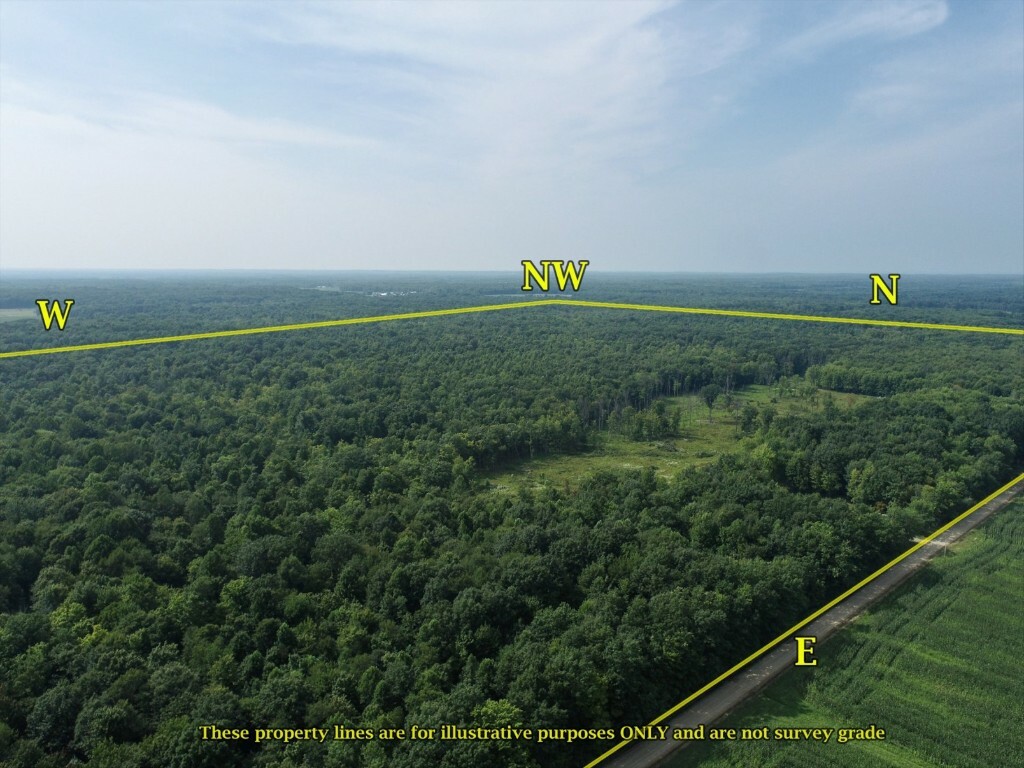 Property Photo:  250 Acres On Reeds Corner Road  PA 16406 