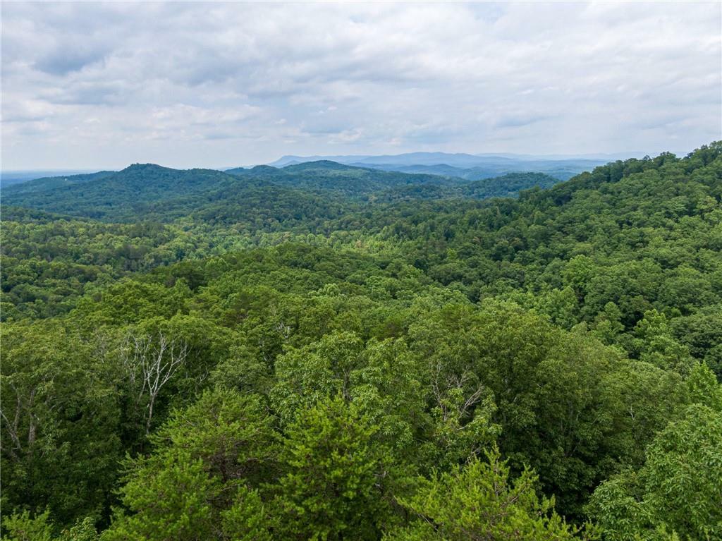 Property Photo: 1895 Finale GA 30175
