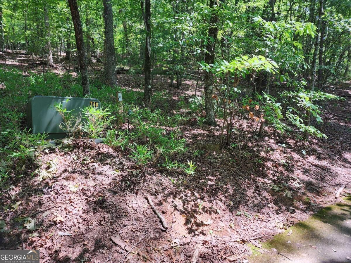 Property Photo: 0 Timberline Lane NC 28904