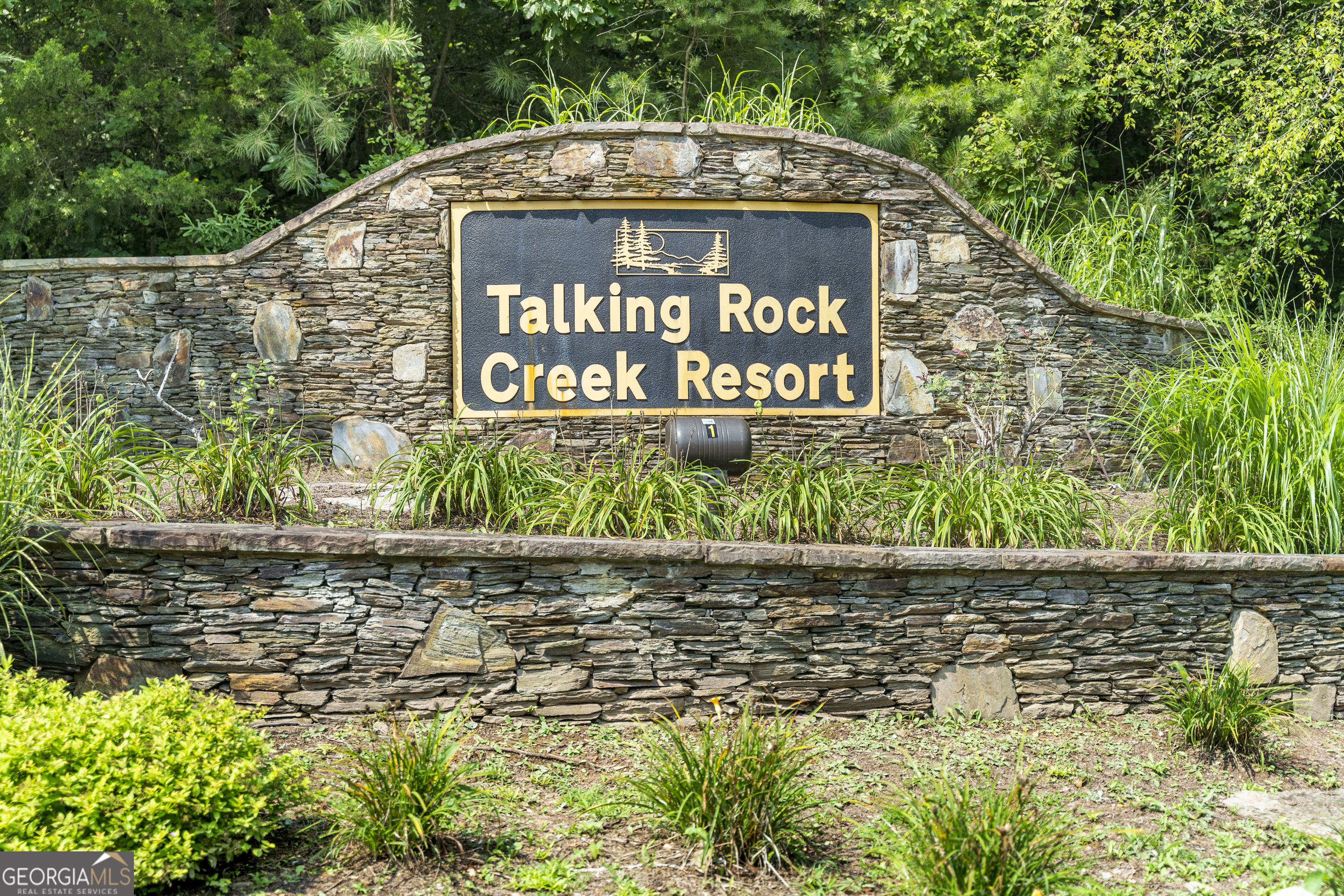 Property Photo: 1584 Paladin Drive GA 30734