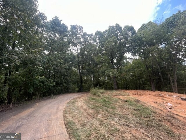 Property Photo:  141 Orr Mill Rd SE  GA 30734 