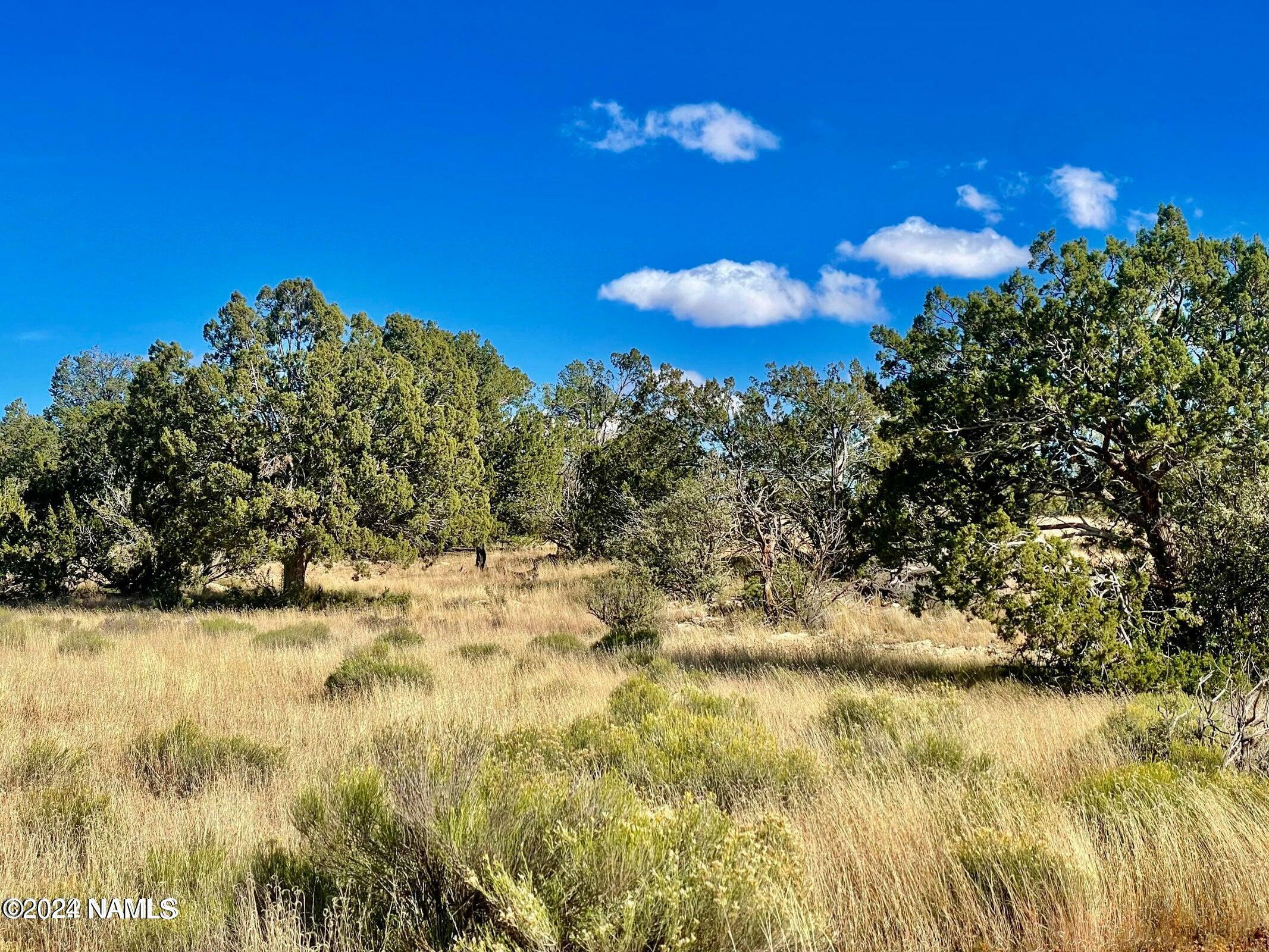 Property Photo:  9379 W Red Bluff Road  AZ 86046 