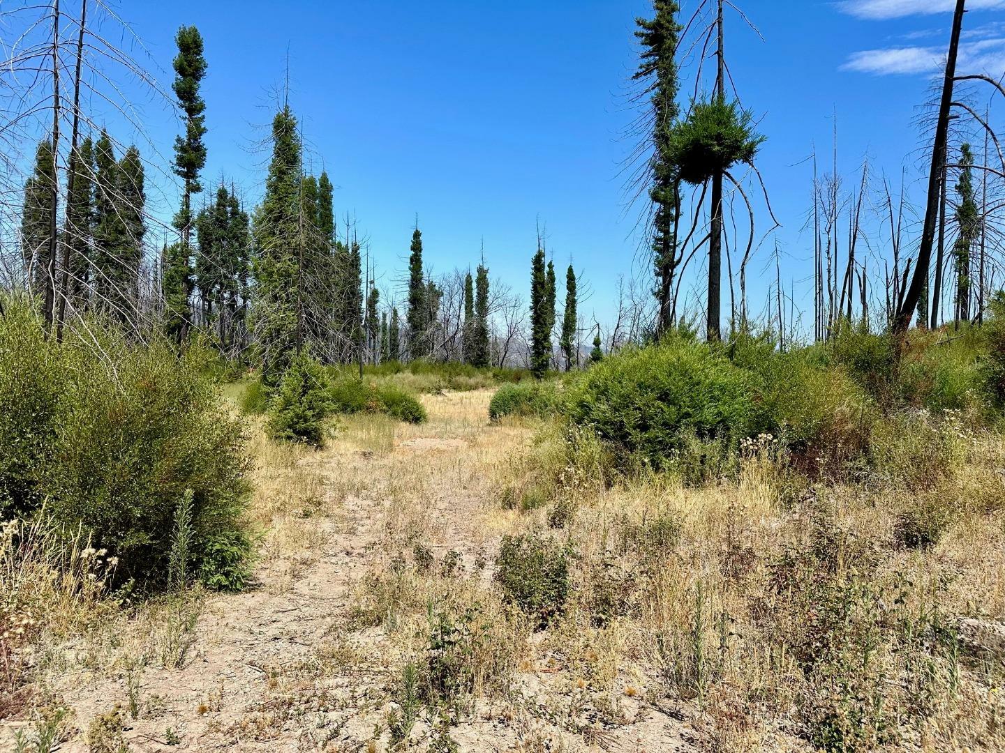 Property Photo:  4605 Last Chance Road  CA 95017 