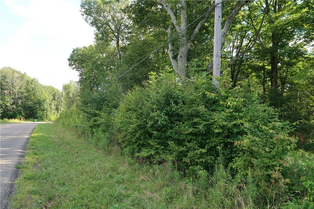 Property Photo:  Lot 5 German Road  NY 13863 