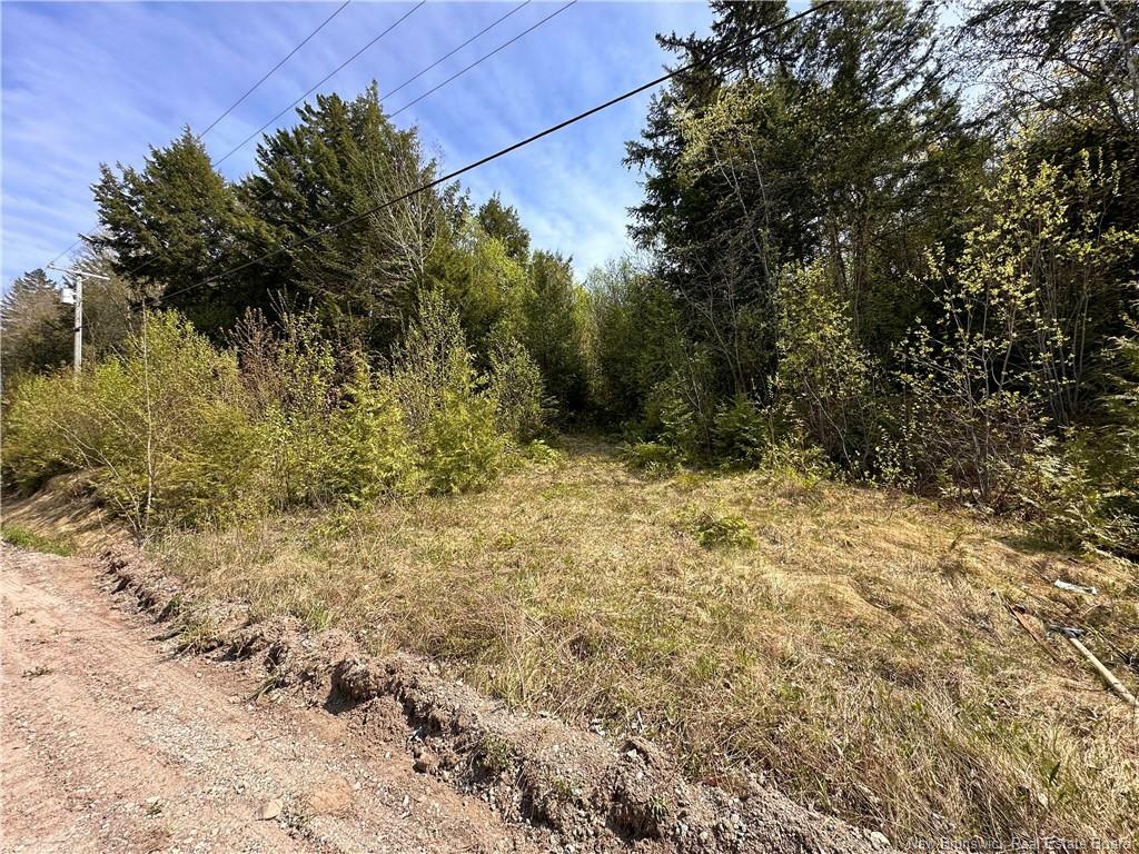 Property Photo:  Lot Old Long Reach Road  NB E5N 1B2 