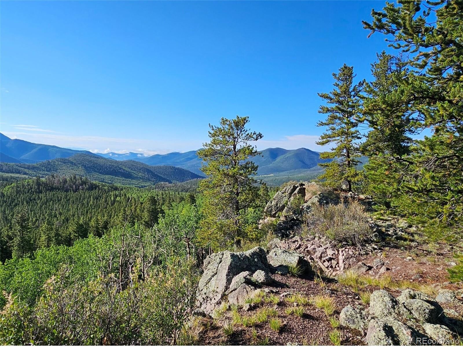 Property Photo:  8 Farrington  CO 81155 