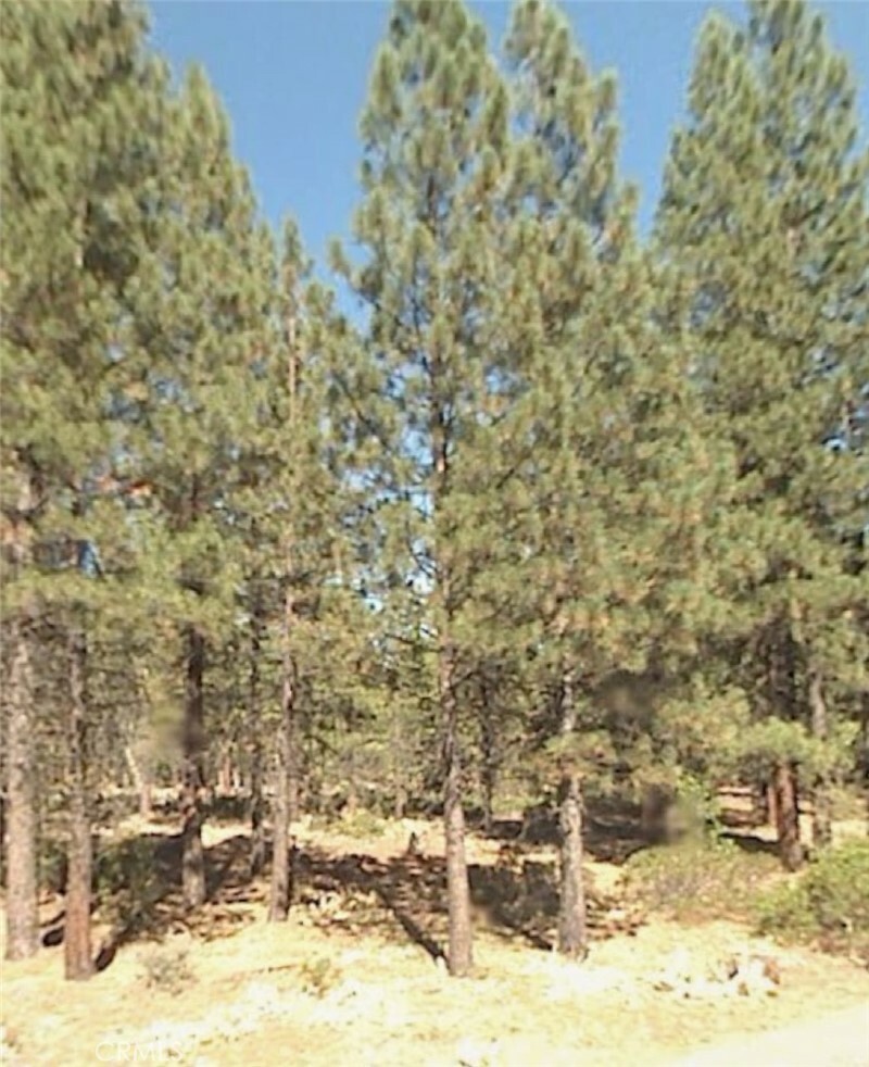 Property Photo:  0 B Lookout Hackamore Road  CA 96054 