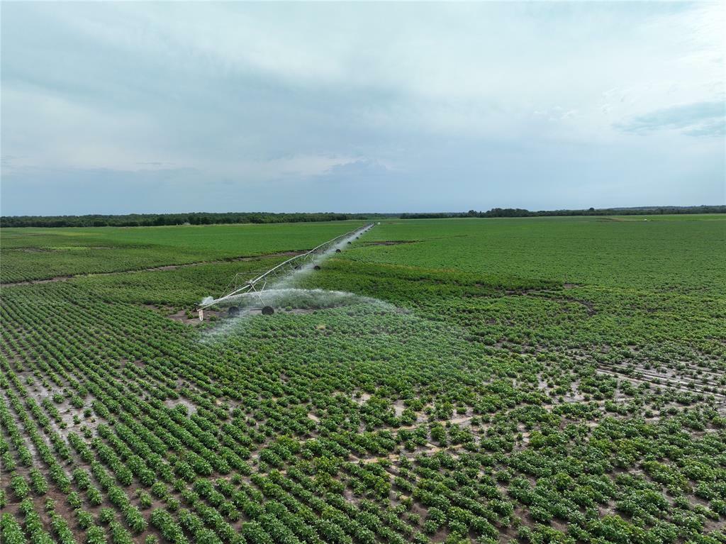 Tbd County Road 3302  De Kalb TX 75559 photo