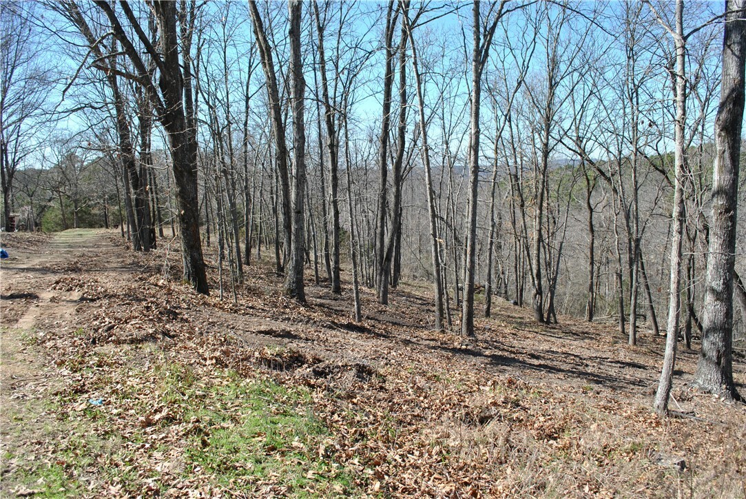 Property Photo:  Lot 101 E Robin Road  AR 72756 