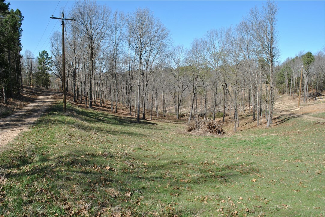 Lot 106 E Robin Road  Rogers AR 72756 photo