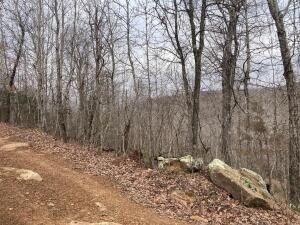 Property Photo:  Point Peter Mountain Road  AR 72650 