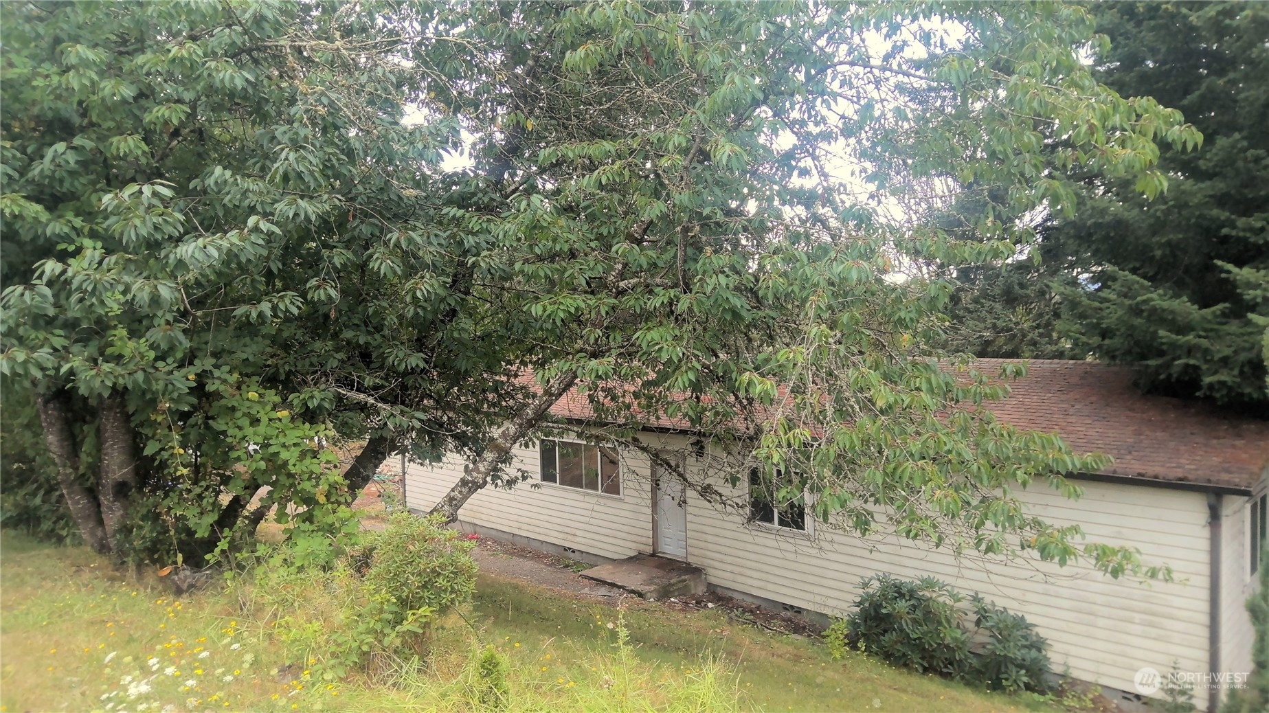 Property Photo:  816 Ham Hill Road  WA 98531 