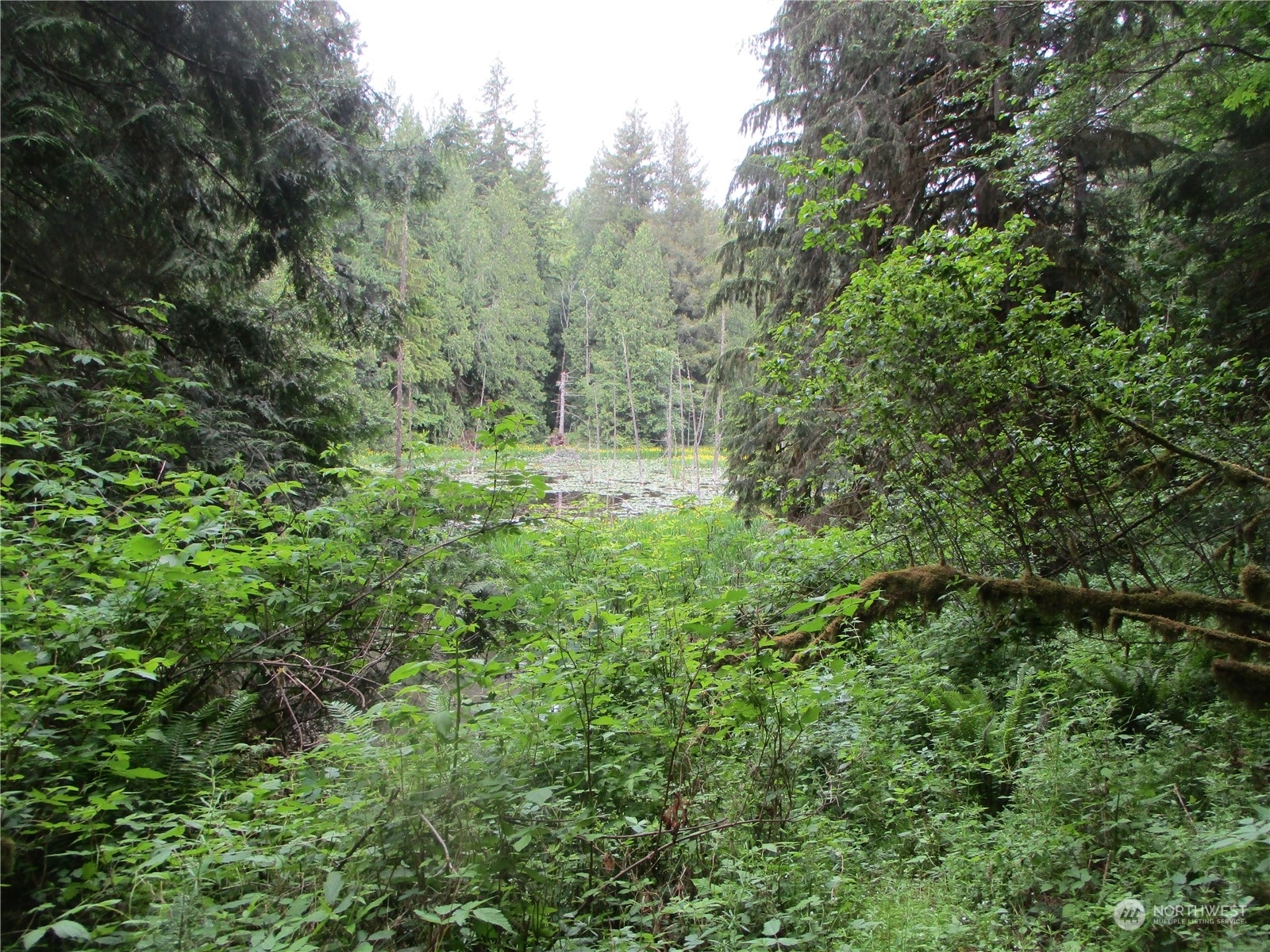 Property Photo:  0 E Blue Heron Acreage  WA 98528 