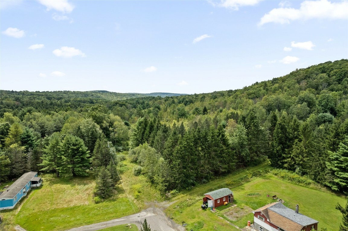 Property Photo:  485 Death Valley Road  NY 13790 