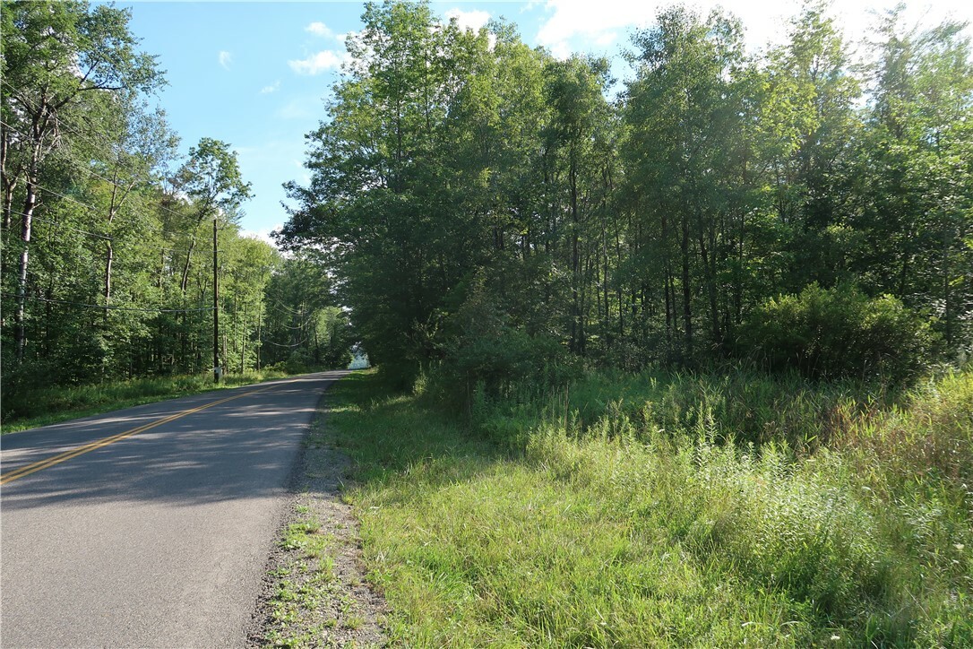 Lot 7 German Road  Willet NY 13863 photo