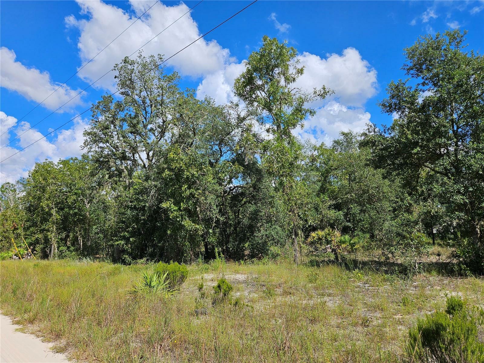 Property Photo:  0 NE 61st Lane  FL 32696 