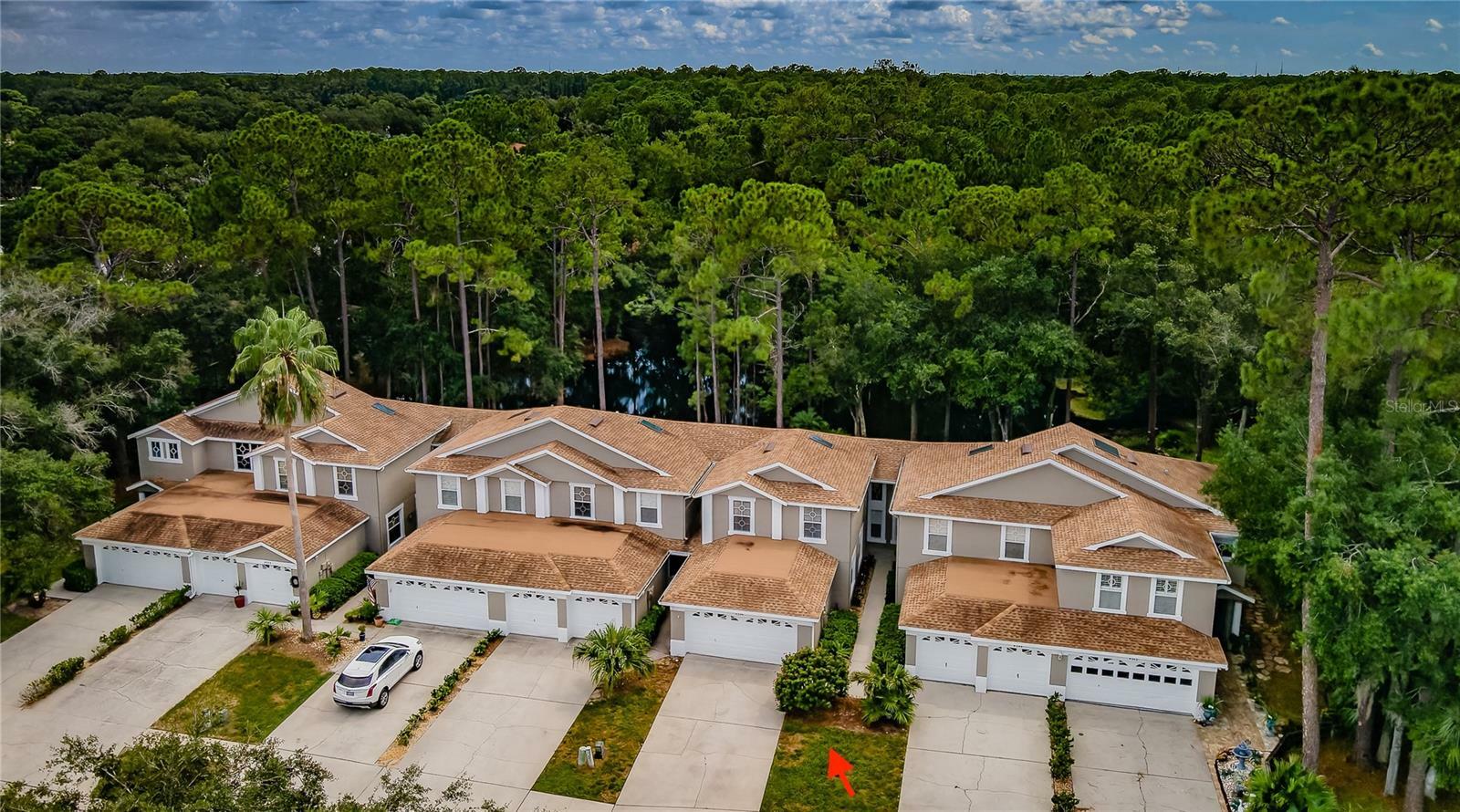 Property Photo:  4346 Brooker Creek Drive  FL 34685 