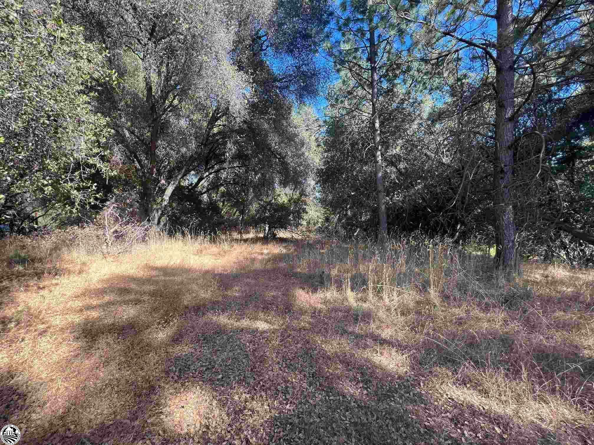 Property Photo:  11363 Covered Wagon Road  CA 95370 