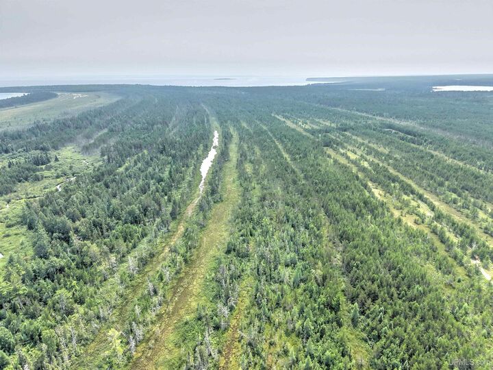 Property Photo:  Tbd Near Rice Lake &Amp Big Traverse Bay Rds Road  MI 49945 