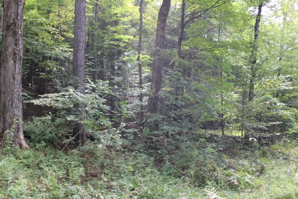 Property Photo:  0 North County Rd  MA 01337 