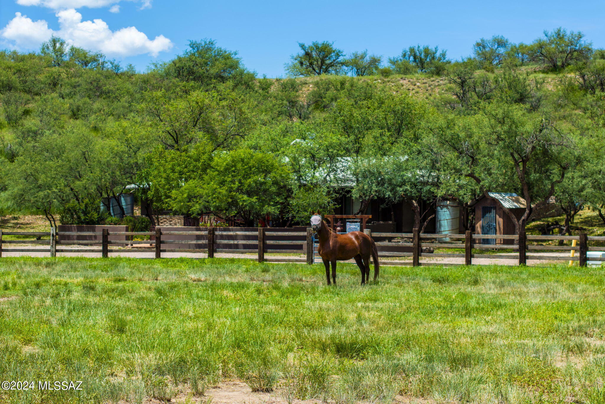 Property Photo:  51 Redrock Drive  AZ 85624 