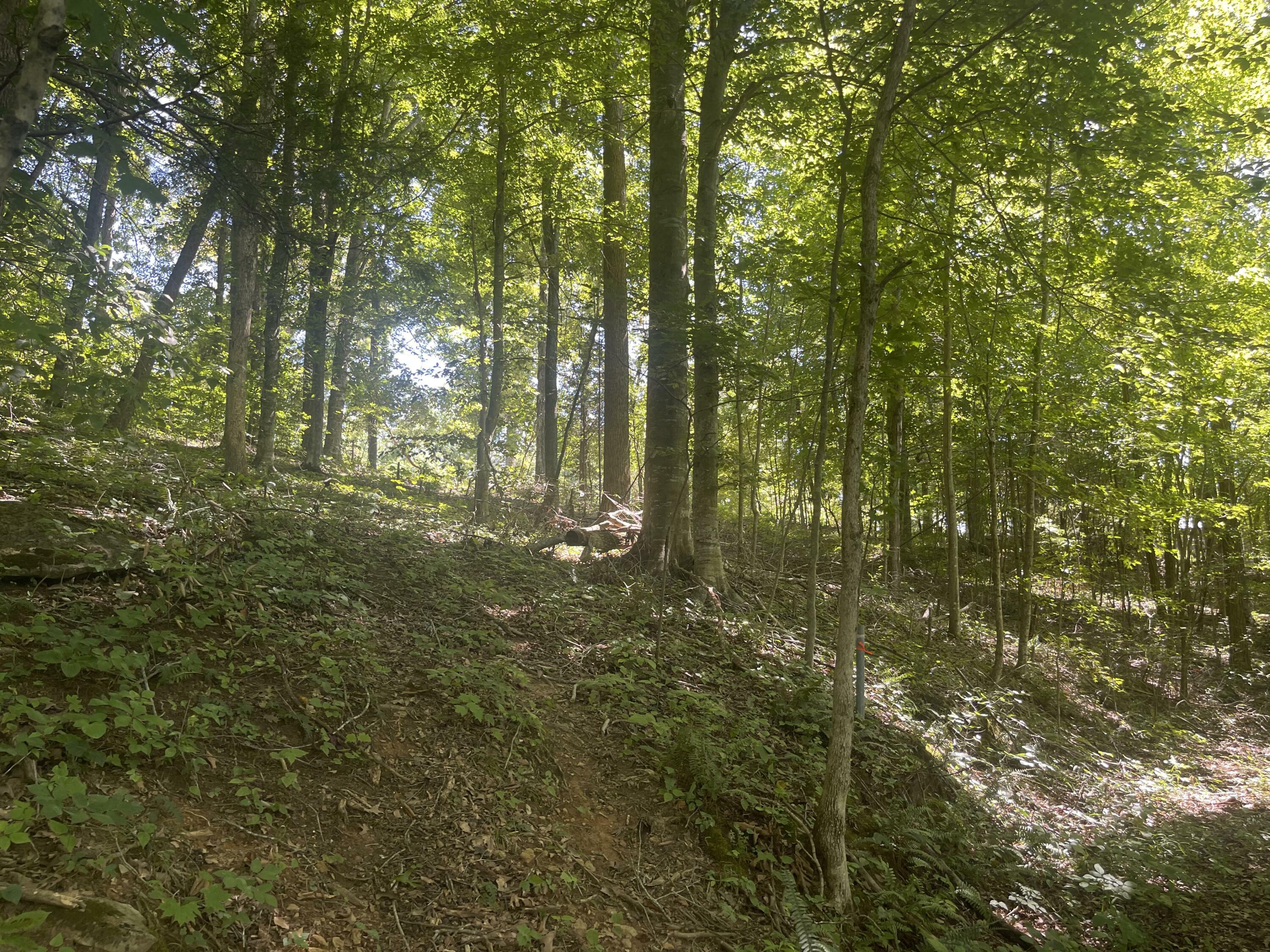 Property Photo:  Lot 82 Pleasant View  KY 42544 