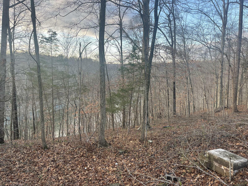 Property Photo:  Lot 82 Pleasant View  KY 42544 