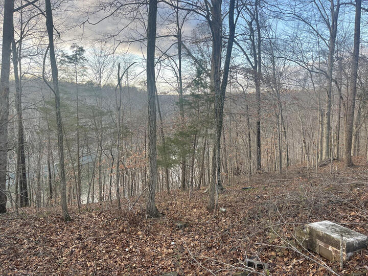 Property Photo: Lot 82 Pleasant View KY 42544