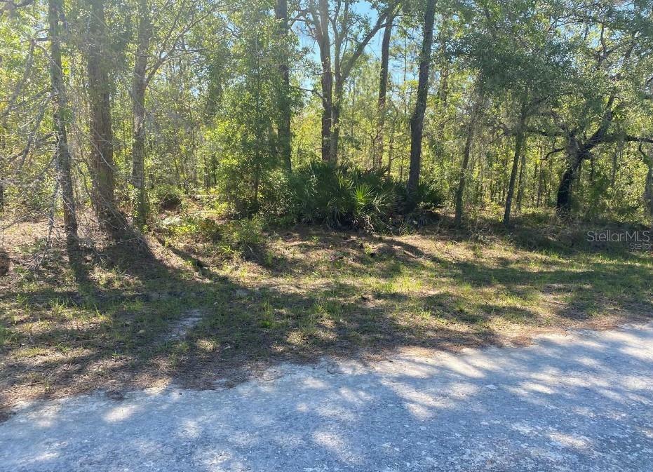 14227 Earline Road  Brooksville FL 34614 photo