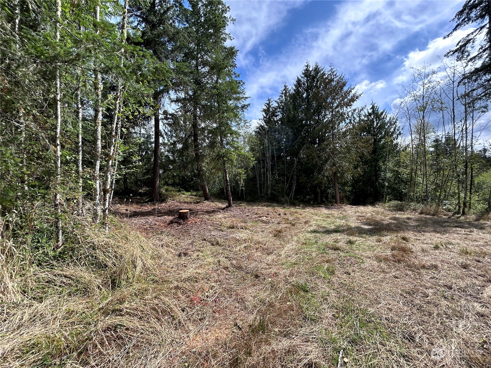 Property Photo:  647 George Taylor Road  WA 98645 