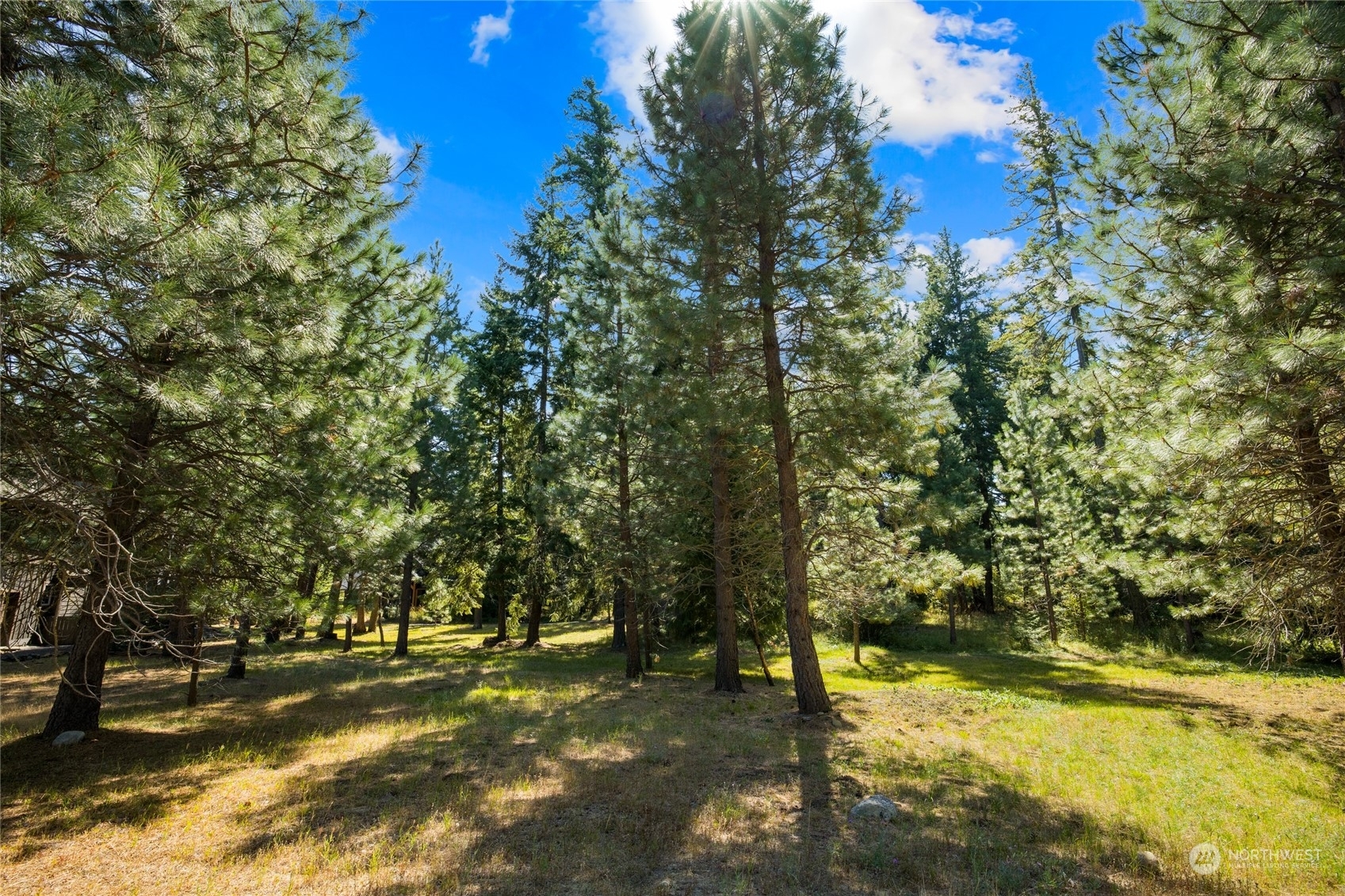 Property Photo:  951 Snowberry Loop  WA 98922 