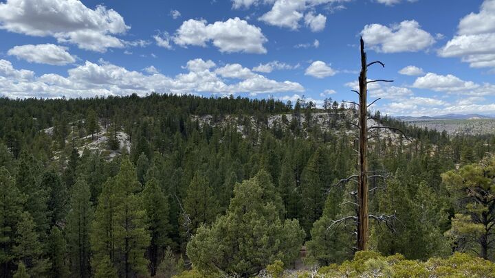 Property Photo:  14 N Royal Drive  UT 84762 