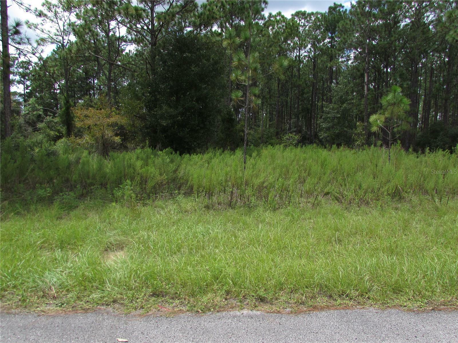 Property Photo:  Lot 19 SW 207 Court  FL 34431 