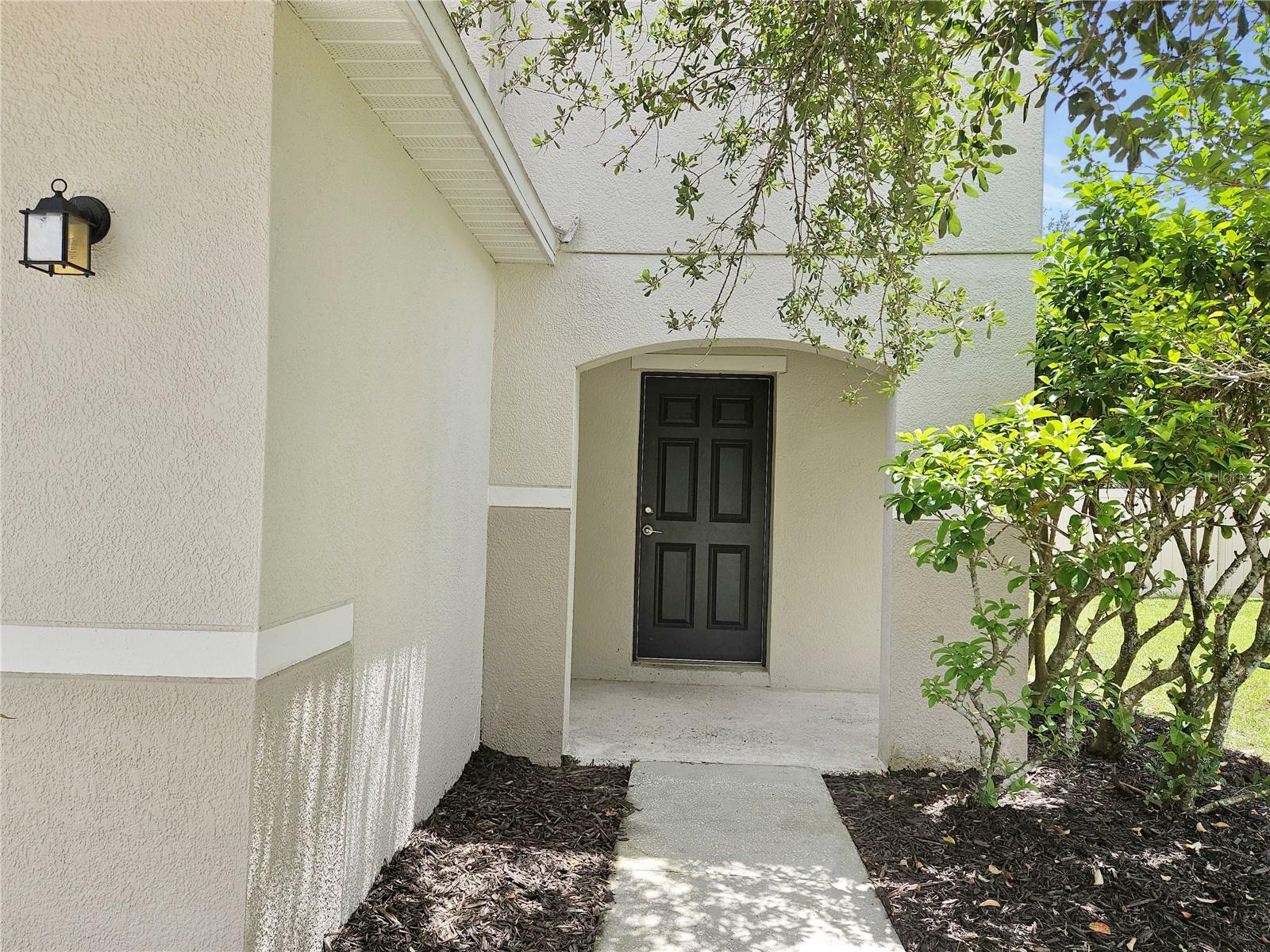 Property Photo:  19628 Timberbluff Drive  FL 34638 