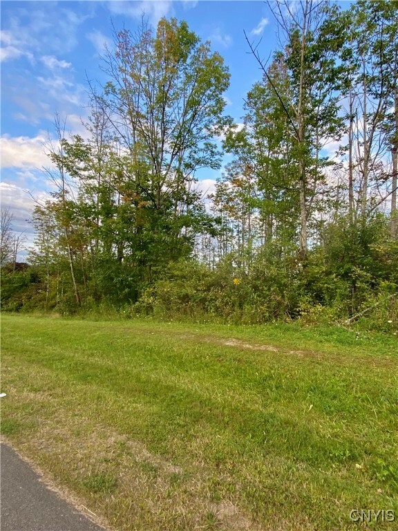 Property Photo: 00 Trenton Road NY 13502