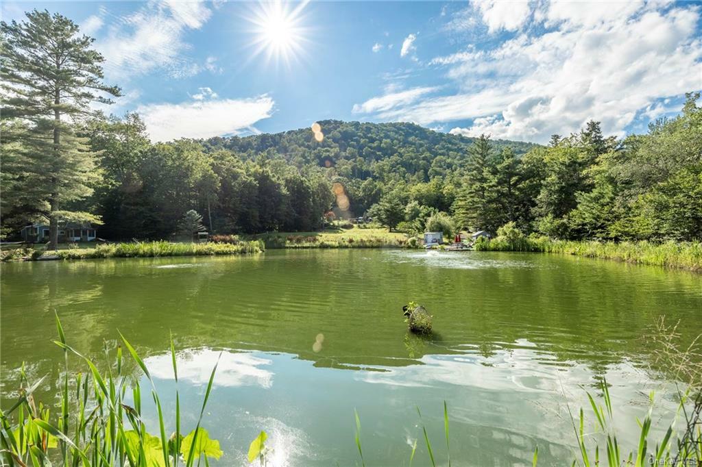 Property Photo:  942 Woodland Valley Road  NY 12464 