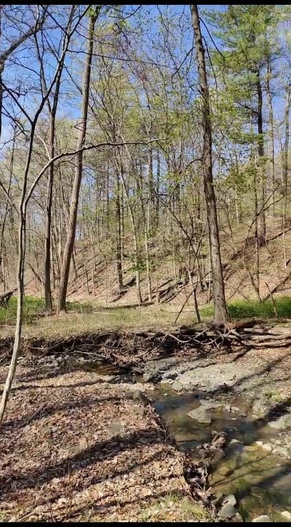 Property Photo:  9 Wilderness Road  NY 14882 