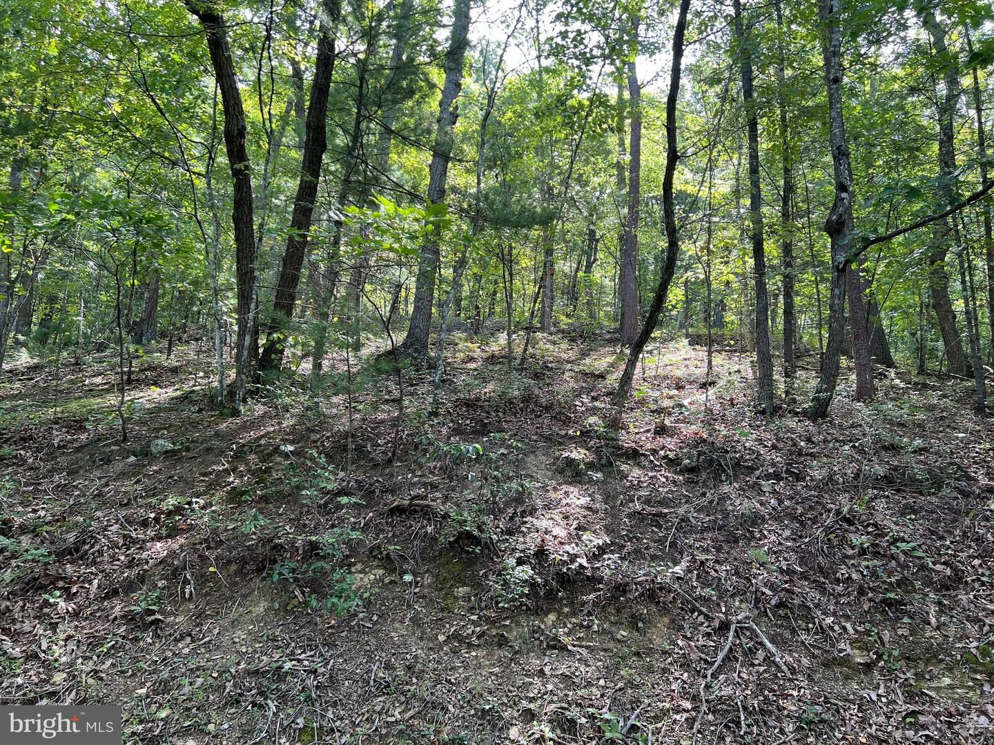 Property Photo:  0 Dawn  VA 22810 